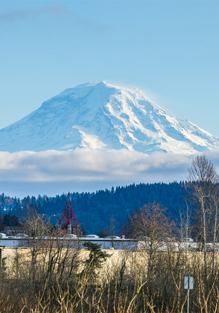 View of Mt. Rainier