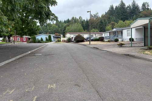 A paved street in a mobile home park with several manufactured homes, trees in the background, and overcast skies.